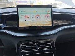 BYD Qin PLUS 2023 Champion Edition DM-i 120KM Leading - ფოტო 13