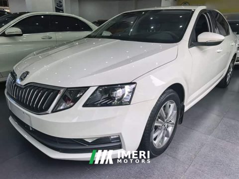 2021 Skoda Octavia 2019 TSI230 DSG Smart Comfort Edition National VI - ავტომობილი ჩინეთიდან