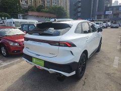 Dongfeng Fenghang T5 EVO 2024 Kuangbiao Edition 1.5TD DCT Platinum - ფოტო 7