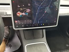 Tesla Model 3 2021 Standard Range RWD Upgrade 3D6 - ფოტო 13