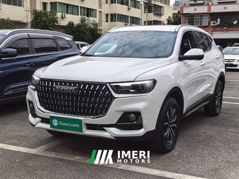2024 Haval H6 2023 National Trend Edition 1.5T Automatic Urban Version - ავტომობილი ჩინეთიდან
