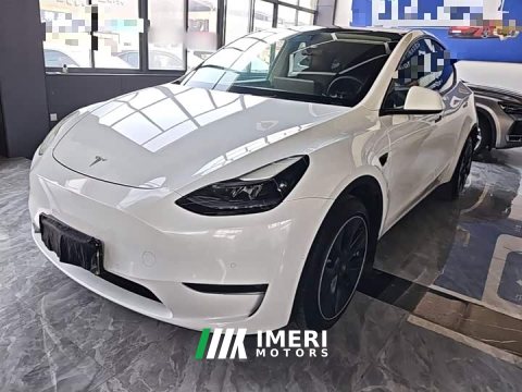 2021 Tesla Model Y Long Range All-Wheel Drive 3D7 - ავტომობილი ჩინეთიდან