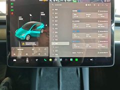 Tesla Model Y Long Range All-Wheel Drive 3D7 - ფოტო 12