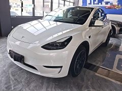Tesla Model Y Long Range All-Wheel Drive 3D7 - ფოტო 2