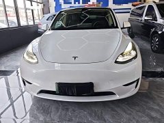Tesla Model Y Long Range All-Wheel Drive 3D7 - ფოტო 3