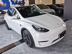 Tesla Model Y Long Range All-Wheel Drive 3D7 - ფოტო 4