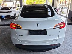 Tesla Model Y Long Range All-Wheel Drive 3D7 - ფოტო 6
