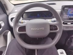 Geely Panda 2025 Panda Mini 210km Vitality Edition - ფოტო 7