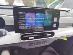 Geely Panda 2025 Panda Mini 210km Vitality Edition - ფოტო 9