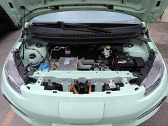 Yuehu Yuetiger 30.66kWh Two-Wheel Drive Standard Edition - ფოტო 20