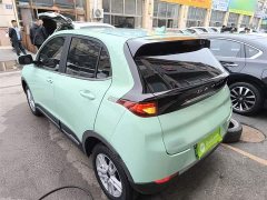 Yuehu Yuetiger 30.66kWh Two-Wheel Drive Standard Edition - ფოტო 5