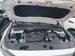 Hyundai Santa Fe Traveler 380T GDi Automatic AWD GLX HTRAC Elite - ფოტო 20