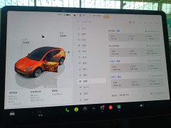 Tesla Model Y 2022 Rear-Wheel Drive - ფოტო 12