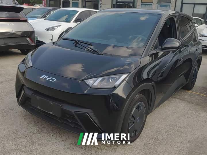 BYD Seagull 2024 Glory Edition 305km Vitality Version - ავტომობილი ჩინეთიდან