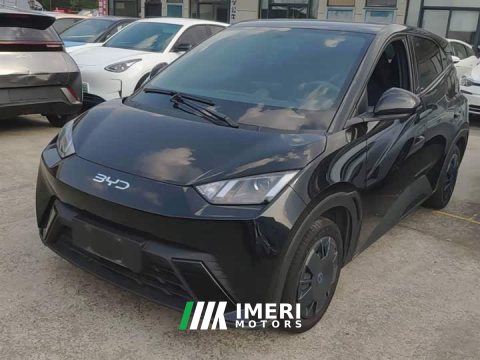 2025 BYD Seagull 2024 Glory Edition 305km Vitality Version - ავტომობილი ჩინეთიდან