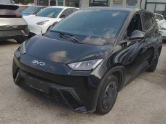 BYD Seagull 2024 Glory Edition 305km Vitality Version - ფოტო 2