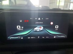 Dongfeng Fenghang T5 EVO 2021 1.5TD DCT Star Shine Edition - ფოტო 12