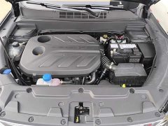Changan Oushan X5 2021 1.5T DCT Premier - ფოტო 20