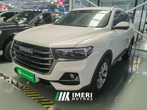 2021 Haval H6 National Trend 1.5GDIT Automatic Champion Edition - ავტომობილი ჩინეთიდან
