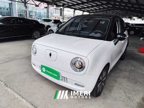 2021 ORA Black Cat 351km Standard - ავტომობილი ჩინეთიდან
