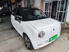 ORA Black Cat 351km Standard - ფოტო 4