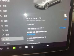Tesla Model 3 Standard Range RWD Upgrade 3D6 - ფოტო 12