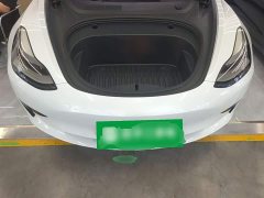 Tesla Model 3 Standard Range RWD Upgrade 3D6 - ფოტო 20