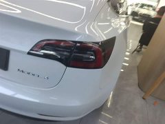 Tesla Model 3 Standard Range RWD Upgrade 3D6 - ფოტო 8
