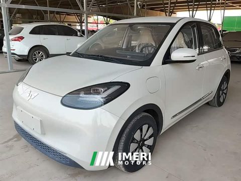 2024 Wuling Binguo 333km Joy Edition - ავტომობილი ჩინეთიდან