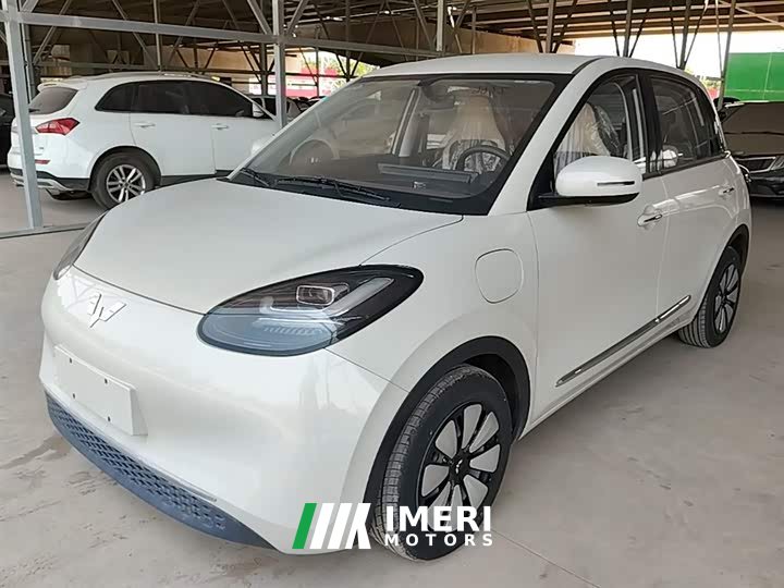Wuling Binguo 333km Joy Edition