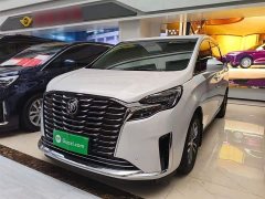 Buick GL8 ES Luxe 653T Prestige - ფოტო 1