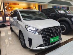 Buick GL8 ES Luxe 653T Prestige - ფოტო 4