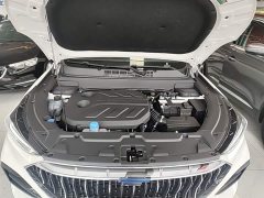 Changan Oushang X5 2021 1.5T DCT Luxury - ფოტო 20