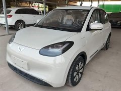 Wuling Binguo 333km Joy Edition - ფოტო 1