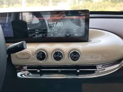 Wuling Binguo 333km Joy Edition - ფოტო 13