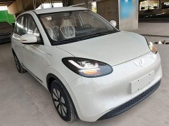 Wuling Binguo 333km Joy Edition - ფოტო 4