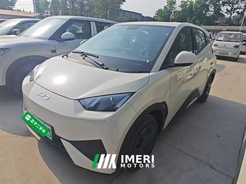 2026 BYD Seagull 2025 305km Vitality Edition - ავტომობილი ჩინეთიდან
