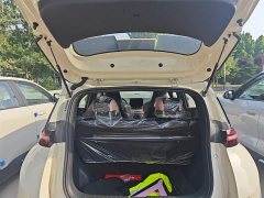 BYD Seagull 2025 305km Vitality Edition - ფოტო 19