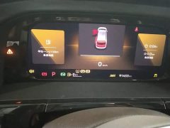 Volkswagen Viloran 2024 330TSI Luxury - ფოტო 19