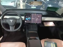 Tesla Model Y 2022 Facelift Rear-Wheel Drive - ფოტო 10