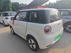 Changan Lumin Treasure Edition 205km Cool Love White CATL - ფოტო 5