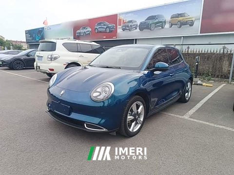 2024 ORA Good Cat 2023 401km Standard Range Luxury LFP - ავტომობილი ჩინეთიდან
