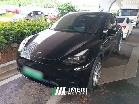 2022 Tesla Model Y Rear-Wheel Drive - ავტომობილი ჩინეთიდან