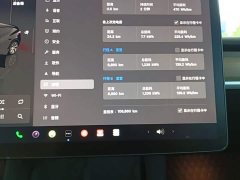 Tesla Model Y Rear-Wheel Drive - ფოტო 12