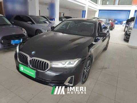 2021 BMW 5 Series 530Li Premier Luxury Package - ავტომობილი ჩინეთიდან