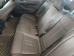 BMW 5 Series 530Li Premier Luxury Package - ფოტო 13