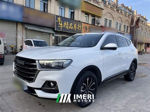 2022 Haval H6 2021 National Trend Edition 1.5T Automatic Urban Version - ავტომობილი ჩინეთიდან