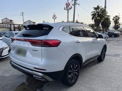 Haval H6 2021 National Trend Edition 1.5T Automatic Urban Version - ფოტო 12