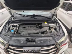 Haval H6 2021 National Trend Edition 1.5T Automatic Urban Version - ფოტო 14