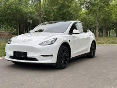 Tesla Model Y Long Range All-Wheel Drive - ფოტო 1
